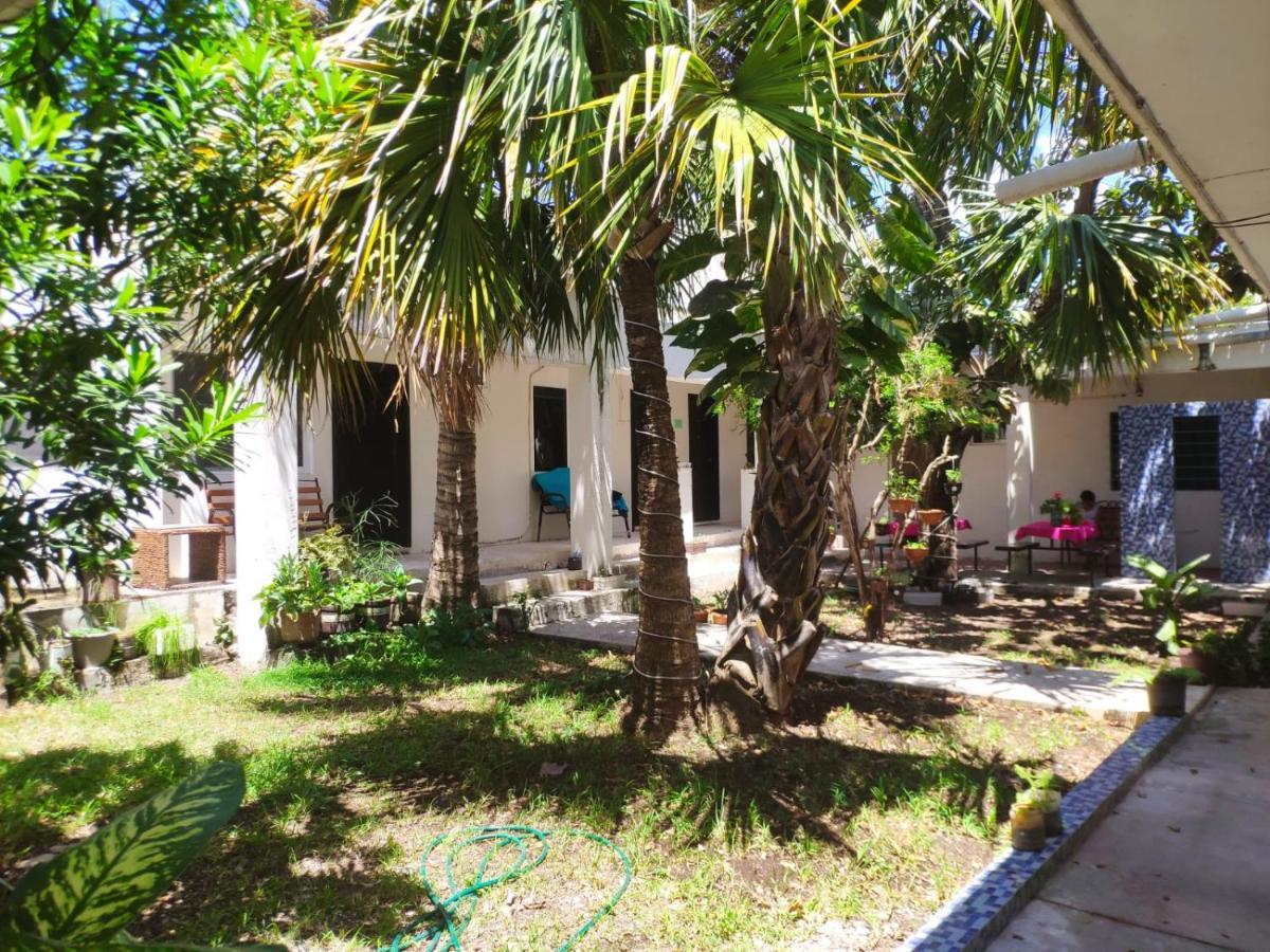 Bea rooms&studios Cozumel Exterior foto